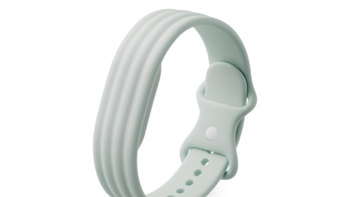Artwork von Google Fitbit Air (Bild: Google)